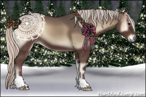 Horse Color:Silver Blue Onyx 