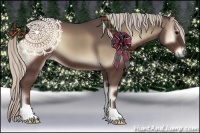 Horse Color:Silver Blue Onyx
