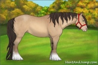 Horse Color:Amber Champagne 