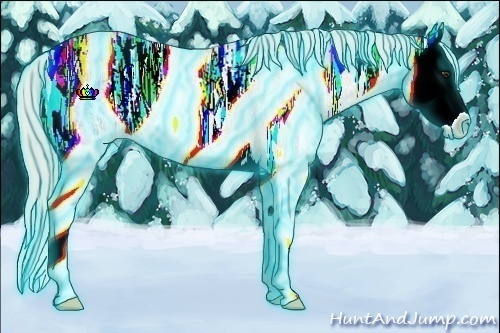 Horse Color:Thunderstruck Silver Bay Ice Roan Dun Splash Appaloosa