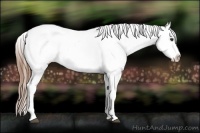 Horse Color:Chestnut Sabino Varnish 