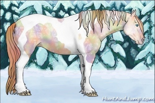 Horse Color:Nacre Buckskin Ice Pearl Tobiano 