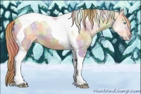 Horse Color:Nacre Buckskin Ice Pearl Tobiano 
