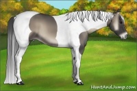 Horse Color:Smoky Blue Onyx Tobiano 
