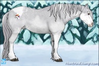 Horse Color:Watercolor Liver Chestnut Sabino Appaloosa 