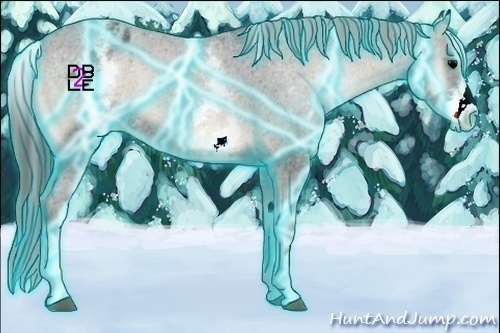 Horse Color:Thunderstruck White Spotted Blue Onyx Appaloosa 