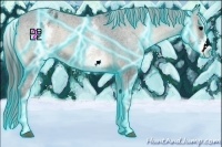 Horse Color:Thunderstruck White Spotted Blue Onyx Appaloosa 