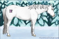 Horse Color:Liver Chestnut Appaloosa
