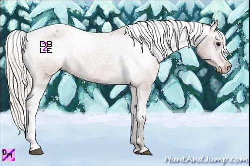 Horse Color:Silver Brown Varnish 