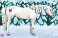 Horse Color:Silver Brown Appaloosa