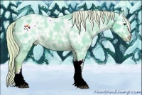 Horse Color:Watercolor Chocolate Palomino Ice Varnish 