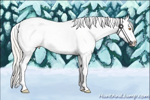 Horse Color:Silver Classic Champagne Dun Splash Frame Near Leopard 