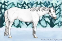 Horse Color:Silver Classic Champagne Dun Splash Frame Appaloosa
