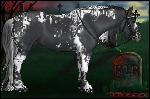 Horse Color:Black Splash Tobiano Frame  and Black Splash Tobiano Frame 