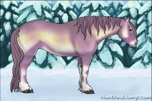 Horse Color:Watercolor Red Onyx 