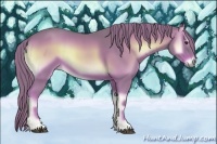 Horse Color:Watercolor Red Onyx