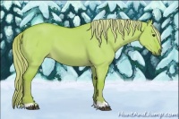 Horse Color:Watercolor Red Dun 