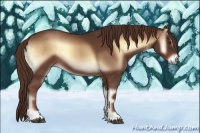 Horse Color:Red Onyx 