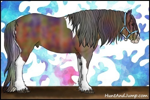 Horse Color:Nacre Bay Splash Tobiano 