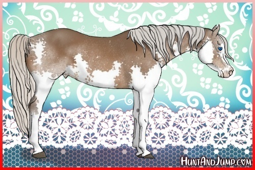 Horse Color:Silver Bay Splash Rabicano 