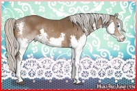 Horse Color:Silver Bay Splash Rabicano