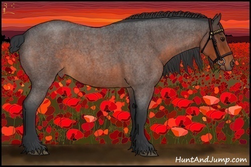 Horse Color:Brown Roan 