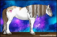 Horse Color:White Spotted Liver Red Dun Splash Frame 