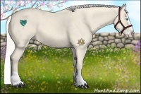 Horse Color:Cremello Splash  and Cremello Splash 