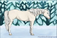 Horse Color:Cremello Splash  and Cremello Splash 