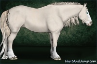 Horse Color:Smoky Creme Splash  Brindle
