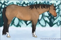 Horse Color:Bay Dun