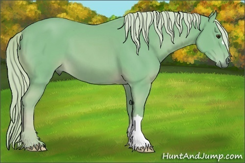 Horse Color:Watercolor Palomino 