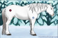 Horse Color:Brown Roan Snowflake Varnish