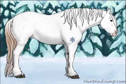 Horse Color:Buckskin Blanket 