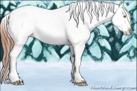Horse Color:Amber Champagne Near Leopard 