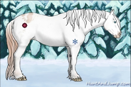 Horse Color:White Spotted Buckskin Pearl Appaloosa 