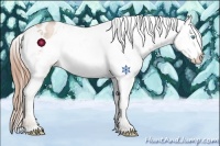Horse Color:White Spotted Buckskin Pearl Varnish 