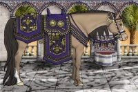 Horse Color:Classic Champagne 