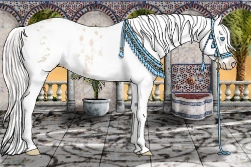 Horse Color:Silver Smoky Black Pearl Sabino Appaloosa Rabicano