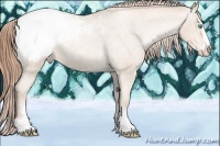 Horse Color:Buckskin Pearl Sabino Varnish