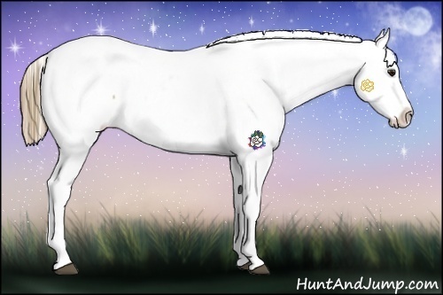 Horse Color:Buckskin Roan Snowcap