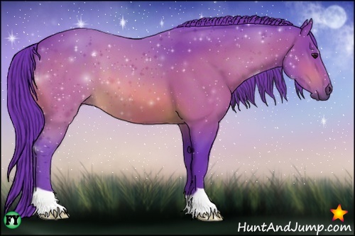 Horse Color:Watercolor Bay 