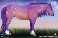 Horse Color:Watercolor Bay 