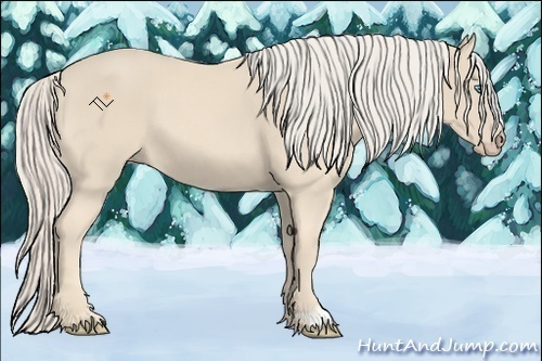 Horse Color:Cremello 