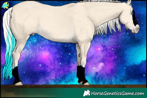 Horse Color:Cremello Splash  Brindle