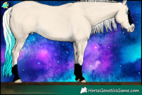 Horse Color:Cremello Splash Brindle