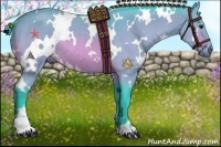 Horse Color:Watercolor White Spotted Buckskin Rabicano 