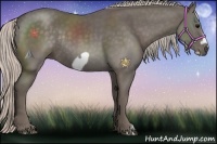 Horse Color:Silver Black Frame Rabicano