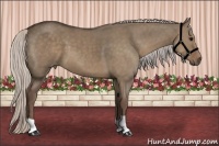 Horse Color:Silver Grullo
