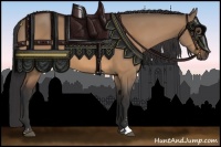 Horse Color:Bay Dun Sabino 